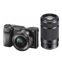 Camara Digital Sony Alpha A6000 Lente 16-50mm Y 55-210mm