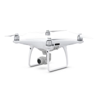 Drone Dji Phantom 4