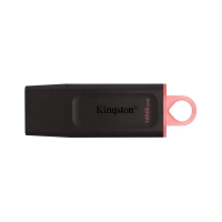 Pendrive Kingston Dtx 256gb Usb 3.2 Negro