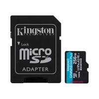 Memoria Microsd Kingston Canvas Go Plus V30 256gb C10