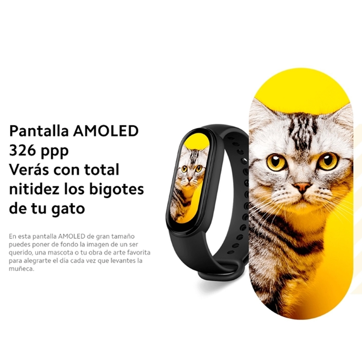Imagen del producto 7