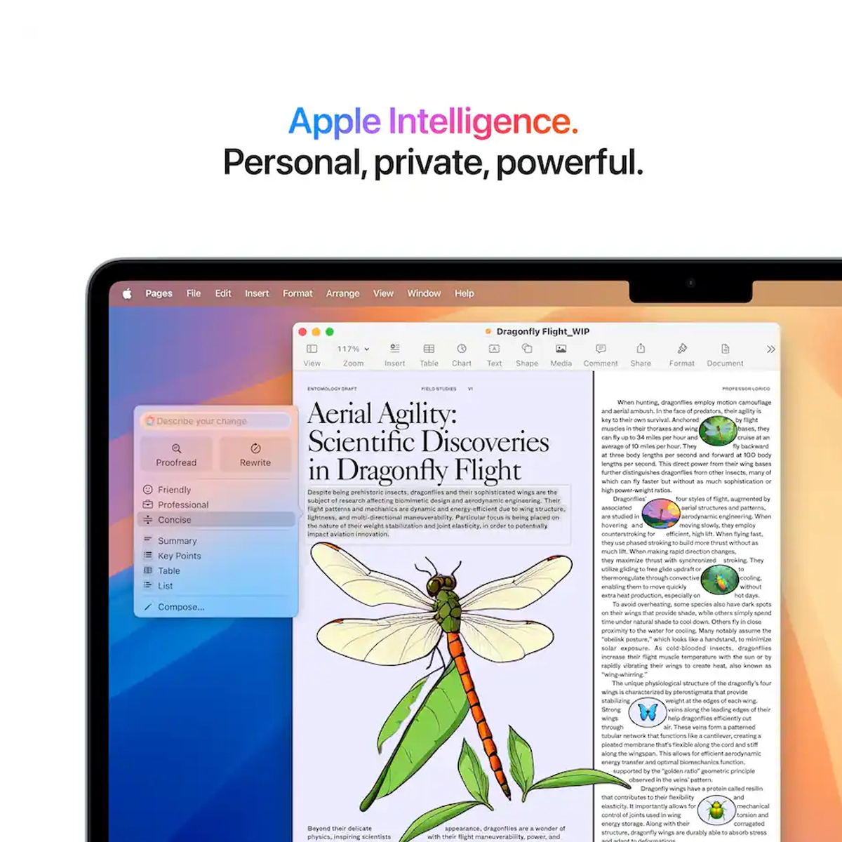 Imagen del producto 6